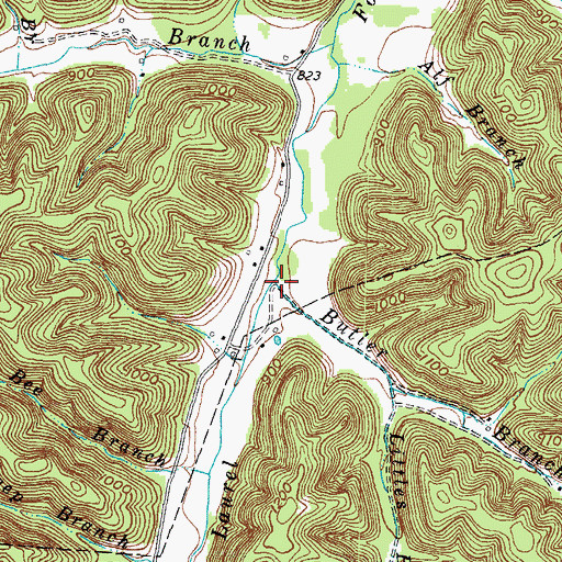 Topographic Map of Butler Branch, KY