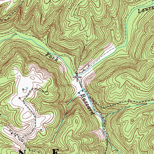 Topographic Map of Buzzard Branch, KY