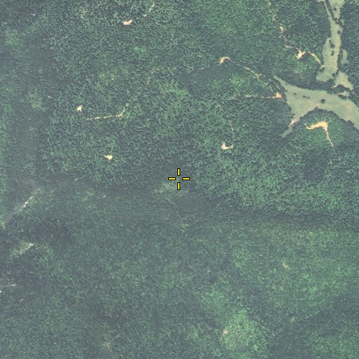 Aerial/Satellite Image of Buzzard Cliff, KY