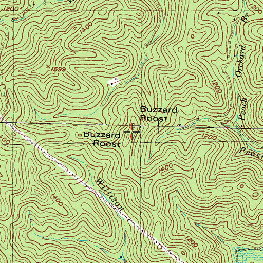 Topographic Map of Buzzard Roost, KY