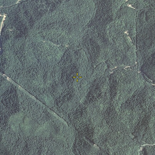 Aerial/Satellite Image of Buzzard Roost, KY