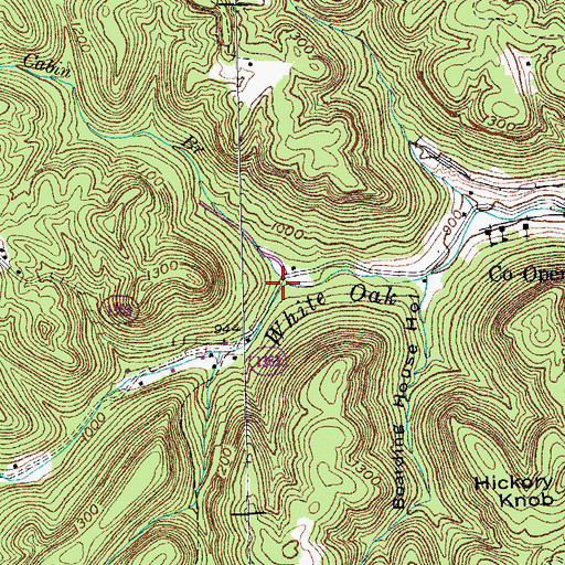 Topographic Map of Cabin Branch, KY