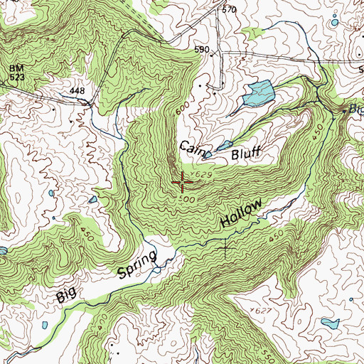 Topographic Map of Cain Bluff, KY