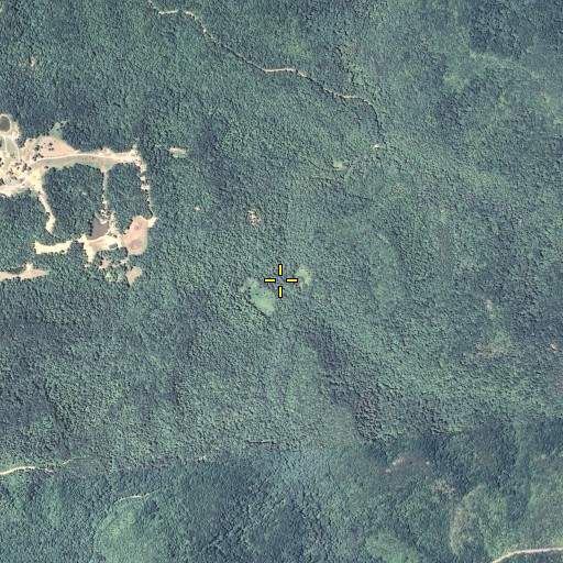 Aerial/Satellite Image of Camping Cave Branch, KY