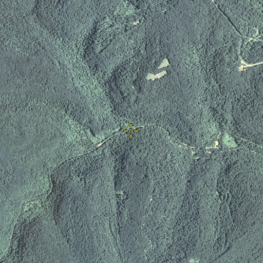 Aerial/Satellite Image of Cane Branch, KY