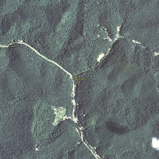 Aerial/Satellite Image of Cane Fork, KY