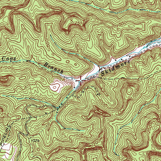 Topographic Map of Cape Branch, KY