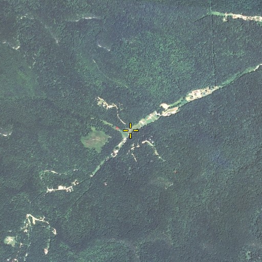 Aerial/Satellite Image of Cape Branch, KY