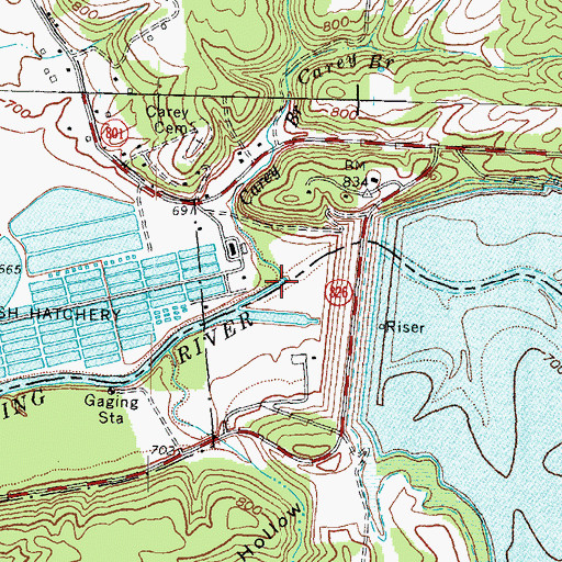Topographic Map of Carey Branch, KY