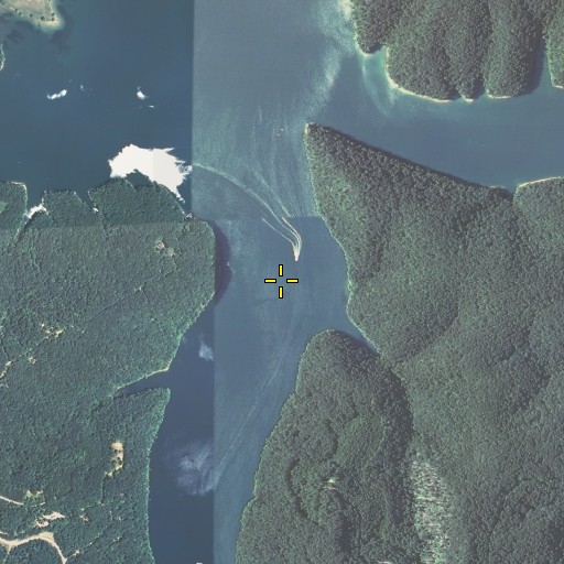Aerial/Satellite Image of Carpenter Branch, KY