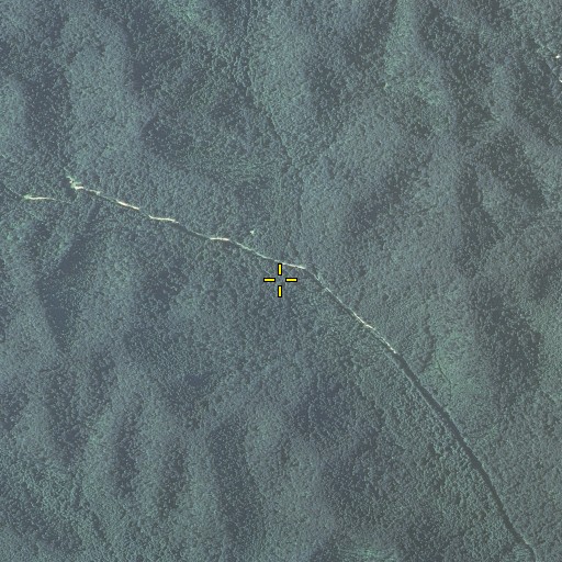 Aerial/Satellite Image of Caudill Branch, KY