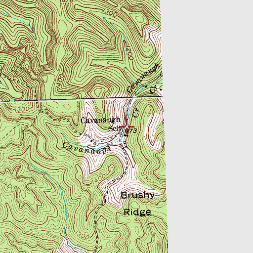 Topographic Map of Cavanaugh School, KY