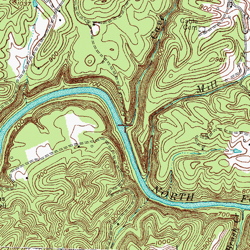 Topographic Map of Cave Branch, KY