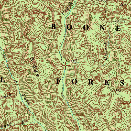 Topographic Map of Cave Branch, KY