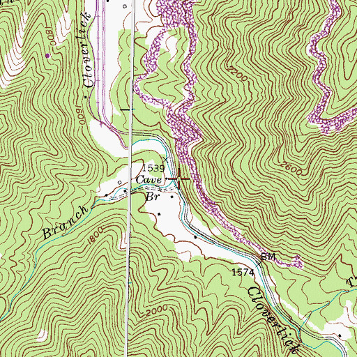 Topographic Map of Cave Branch, KY