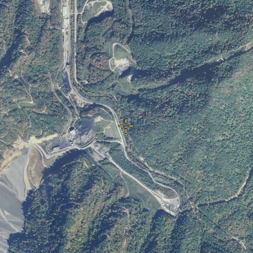 Aerial/Satellite Image of Cave Branch, KY