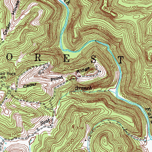 Topographic Map of Cedar Point Ridge, KY