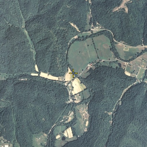 Aerial/Satellite Image of Chestnut Branch, KY