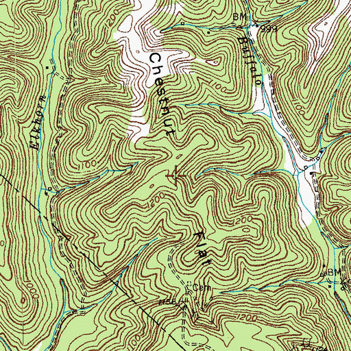 Topographic Map of Chestnut Flat, KY
