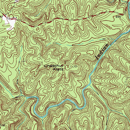 Topographic Map of Chestnut Flats, KY