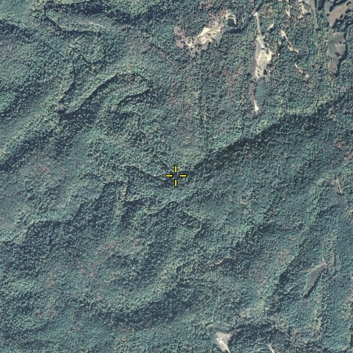 Aerial/Satellite Image of Chestnut Log Branch, KY