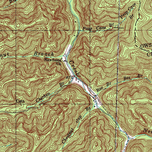 Topographic Map of Chicken Branch, KY