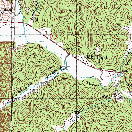 Topographic Map of Chicken Branch, KY