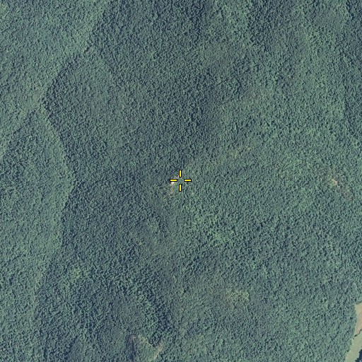Aerial/Satellite Image of Chimney Rock, KY