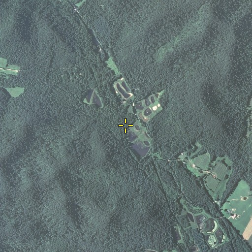 Aerial/Satellite Image of Cincinnati Branch, KY