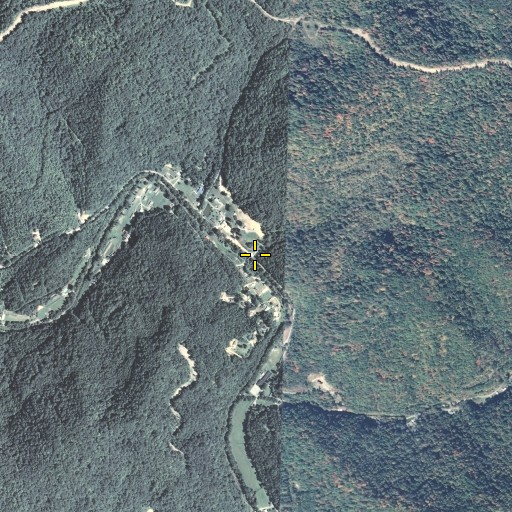 Aerial/Satellite Image of Cliff Branch, KY