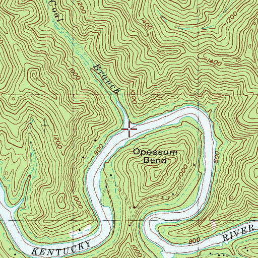 Topographic Map of Coal Branch, KY