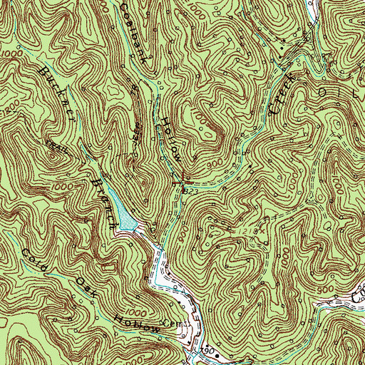 Topographic Map of Coalbank Hollow, KY