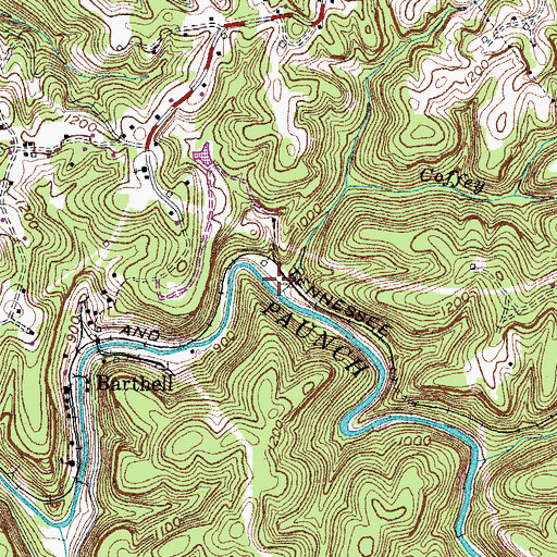 Topographic Map of Coffey Branch, KY