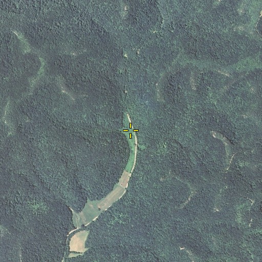 Aerial/Satellite Image of Cold Spring Branch, KY