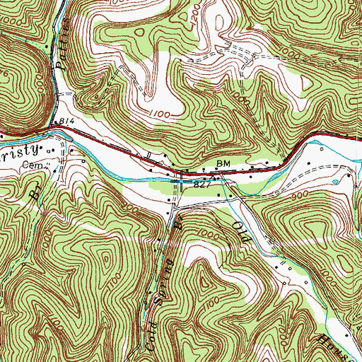 Topographic Map of Cold Spring Branch, KY