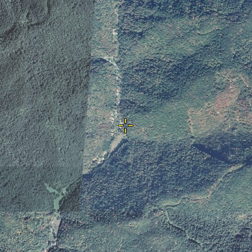 Aerial/Satellite Image of Cole Fork, KY