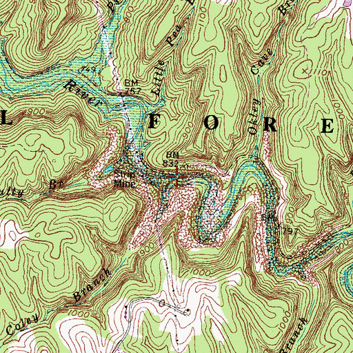 Topographic Map of Coley Branch, KY