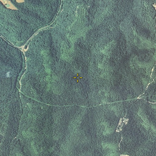 Aerial/Satellite Image of Coon Patch Ridge, KY