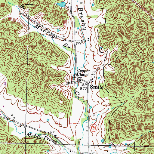 Topographic Map of Cooper Chapel, KY