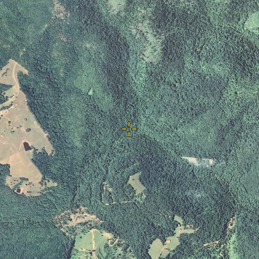 Aerial/Satellite Image of Copperas Fork, KY