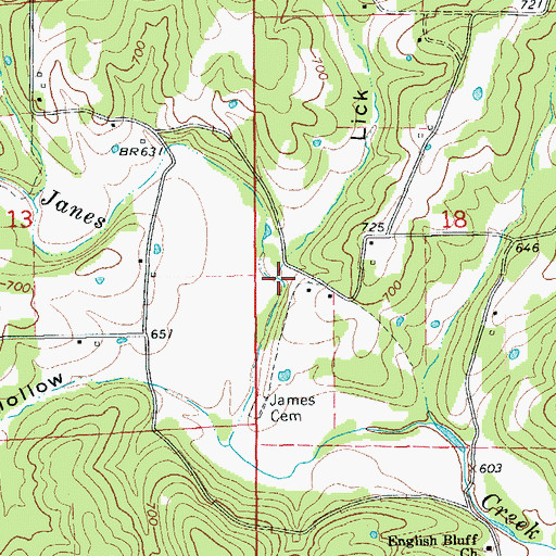 Topographic Map of Lick Hollow, AR
