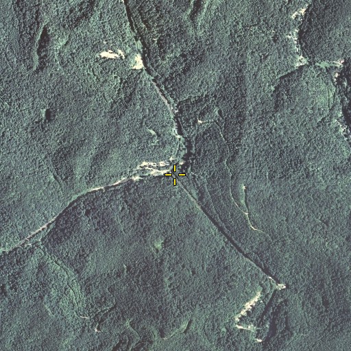 Aerial/Satellite Image of Couch Branch, KY