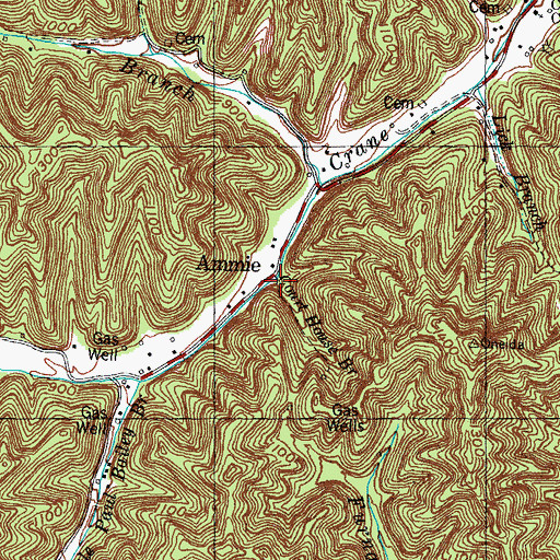 Topographic Map of Court House Branch, KY