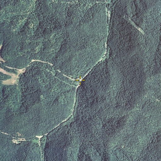 Aerial/Satellite Image of Courthouse Fork, KY