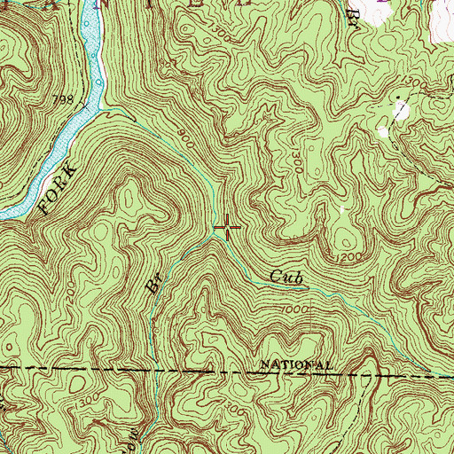 Topographic Map of Cow Branch, KY