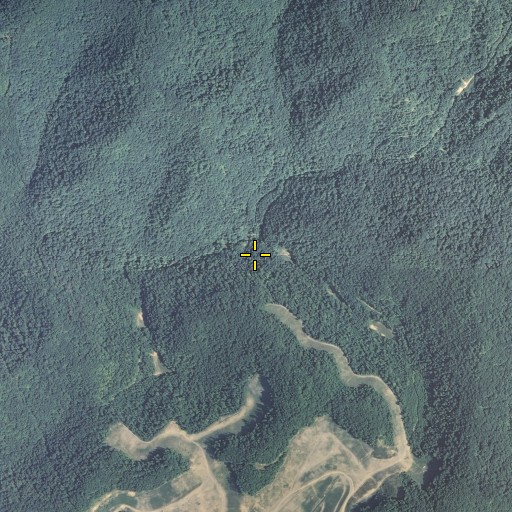 Aerial/Satellite Image of Cow Fork, KY