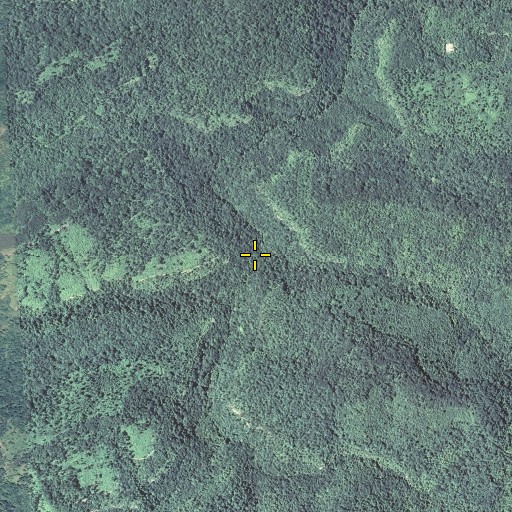 Aerial/Satellite Image of Cox Branch, KY