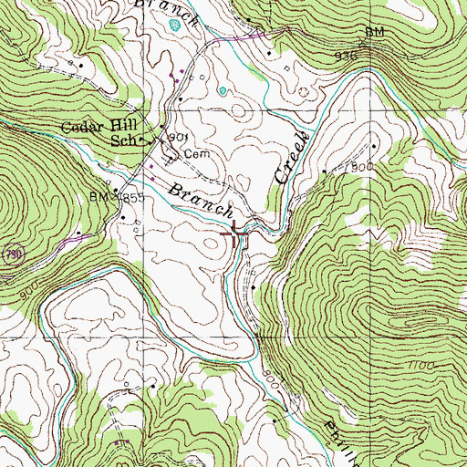 Topographic Map of Crabtree Branch, KY