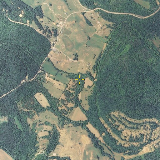 Aerial/Satellite Image of Crabtree Branch, KY