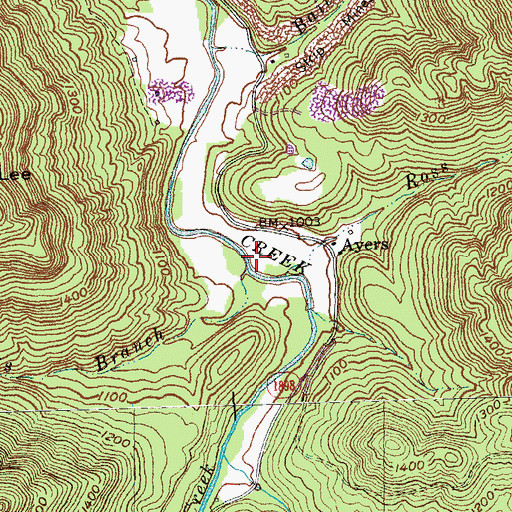 Topographic Map of Criscillis Branch, KY